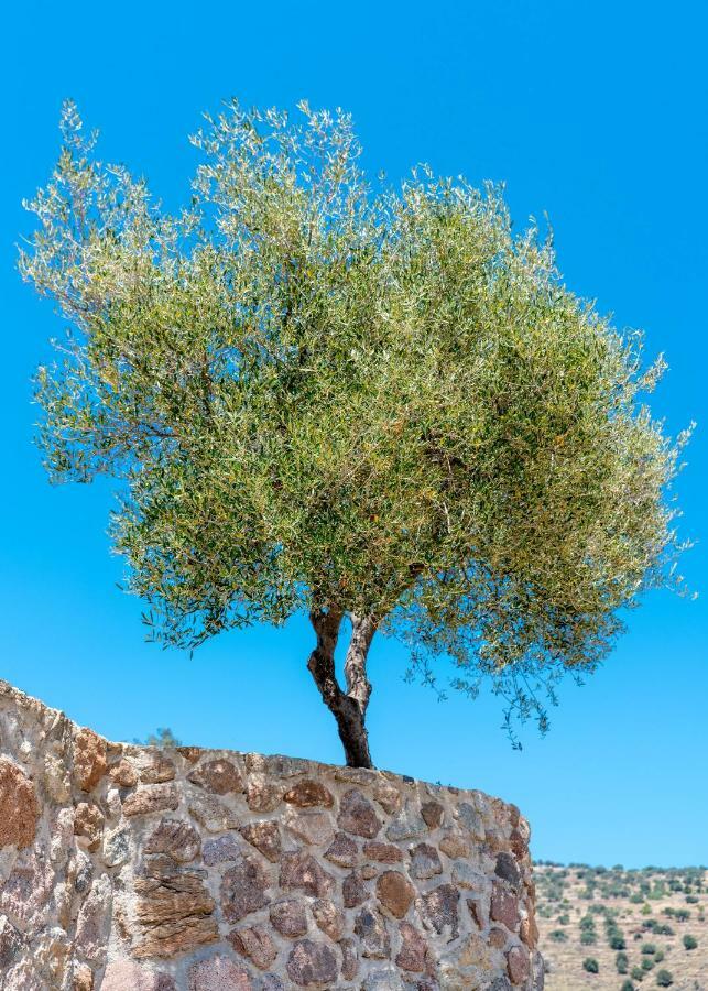 Thea Villas Aegina Πέρδικα Εξωτερικό φωτογραφία